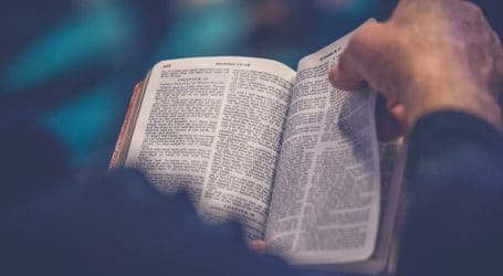 person's hand holding book page
