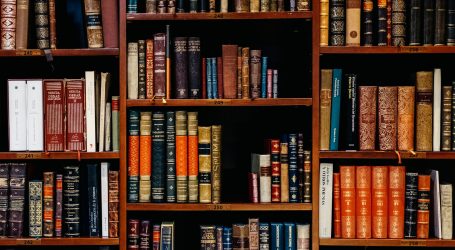 assorted-title of books piled in the shelves