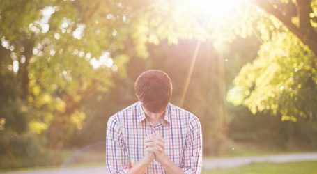 photo of man kneeling on grass near tree