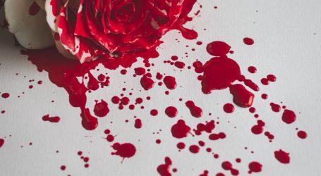 red and white rose petals on white table
