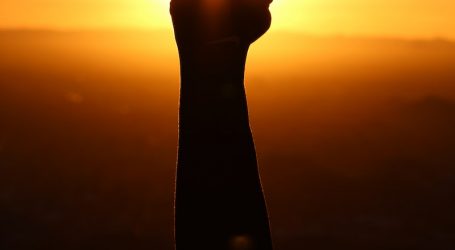 silhouette of person fist during sunset