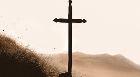 brown wooden cross on mountain during daytime