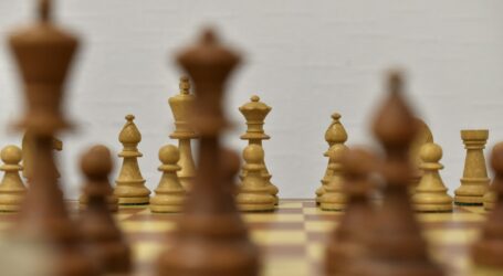 brown chess piece on white surface